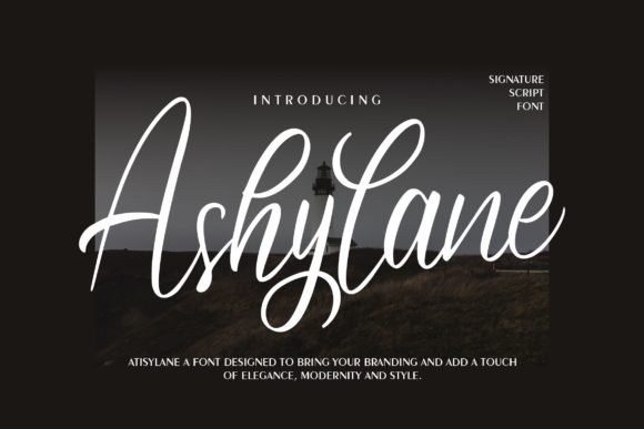 Ashylane Script: A Font for Creative Web Design