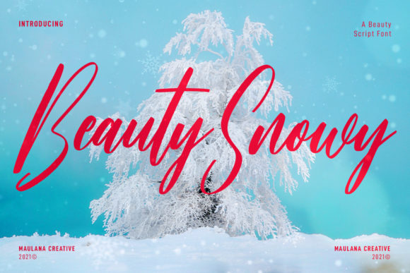 Beauty Snowy Script: A Font for Business Brilliance