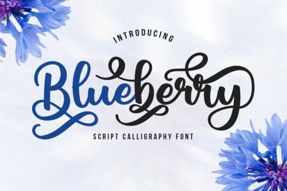 Blueberry Script Review