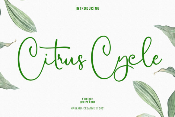 Citrus Cycle Script: A Font for Creative Makers