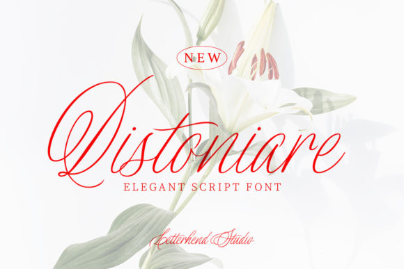 Distoniare Script: A Font for Creative Campaigns