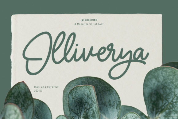 Olliverya Script: A Magical Font for Marketers