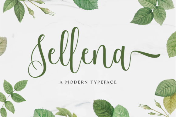 Sellena Script: A Font for Creative Campaigns