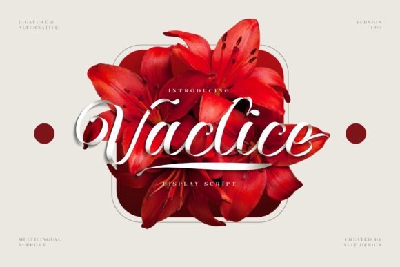 Vaclice Script: A Font for Creative Campaigns